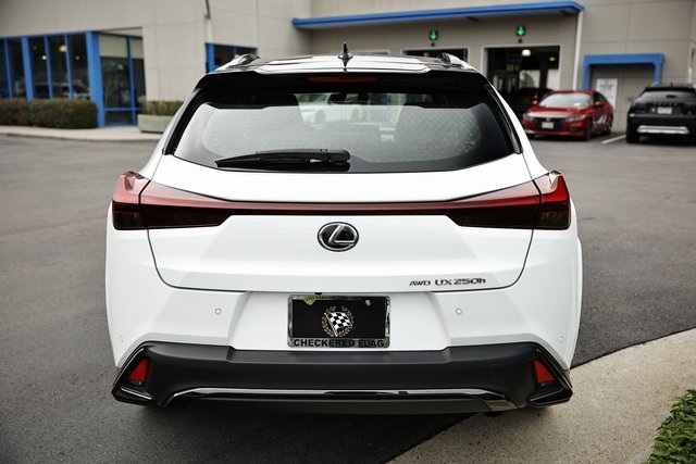 2024 Lexus UX 250h F SPORT Handling photo 10