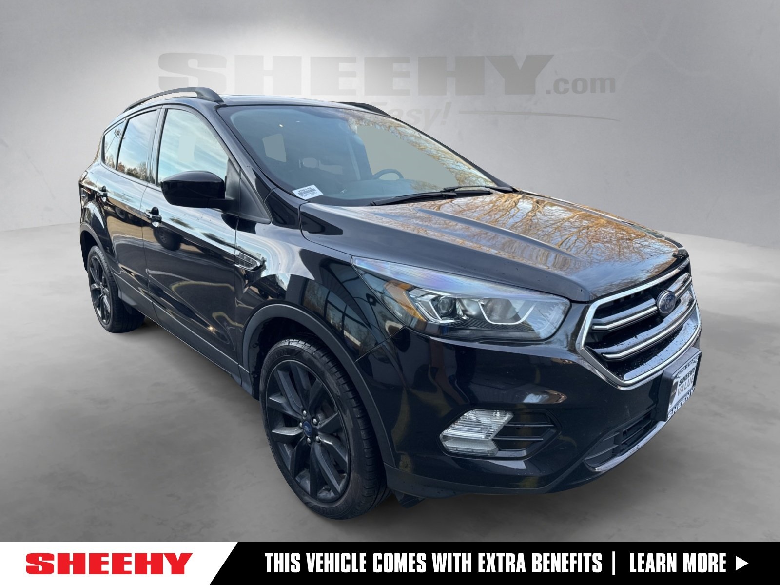 2017 Ford Escape SE's photo