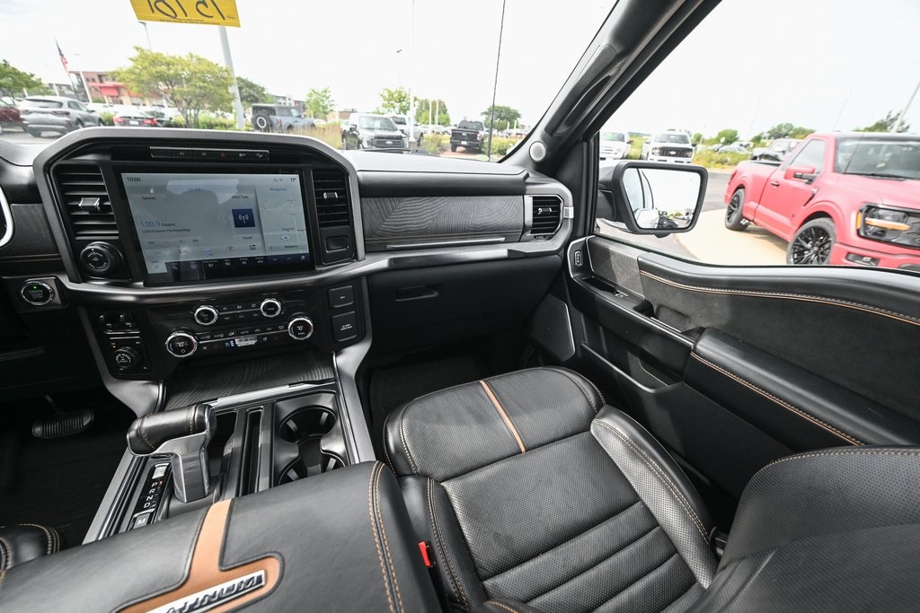 2021 Ford F-150 Platinum photo 31