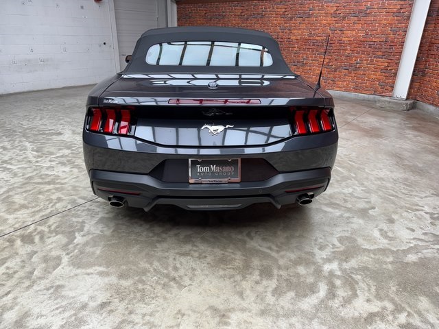 2024 Ford Mustang EcoBoost photo 4