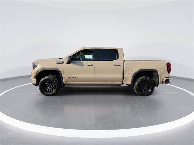 2023 Gmc Sierra 1500 AT4X photo 5