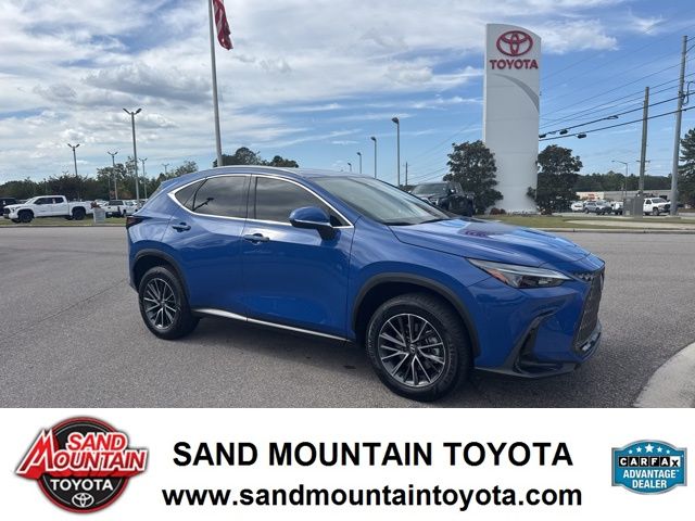 2024 Lexus NX 350's photo