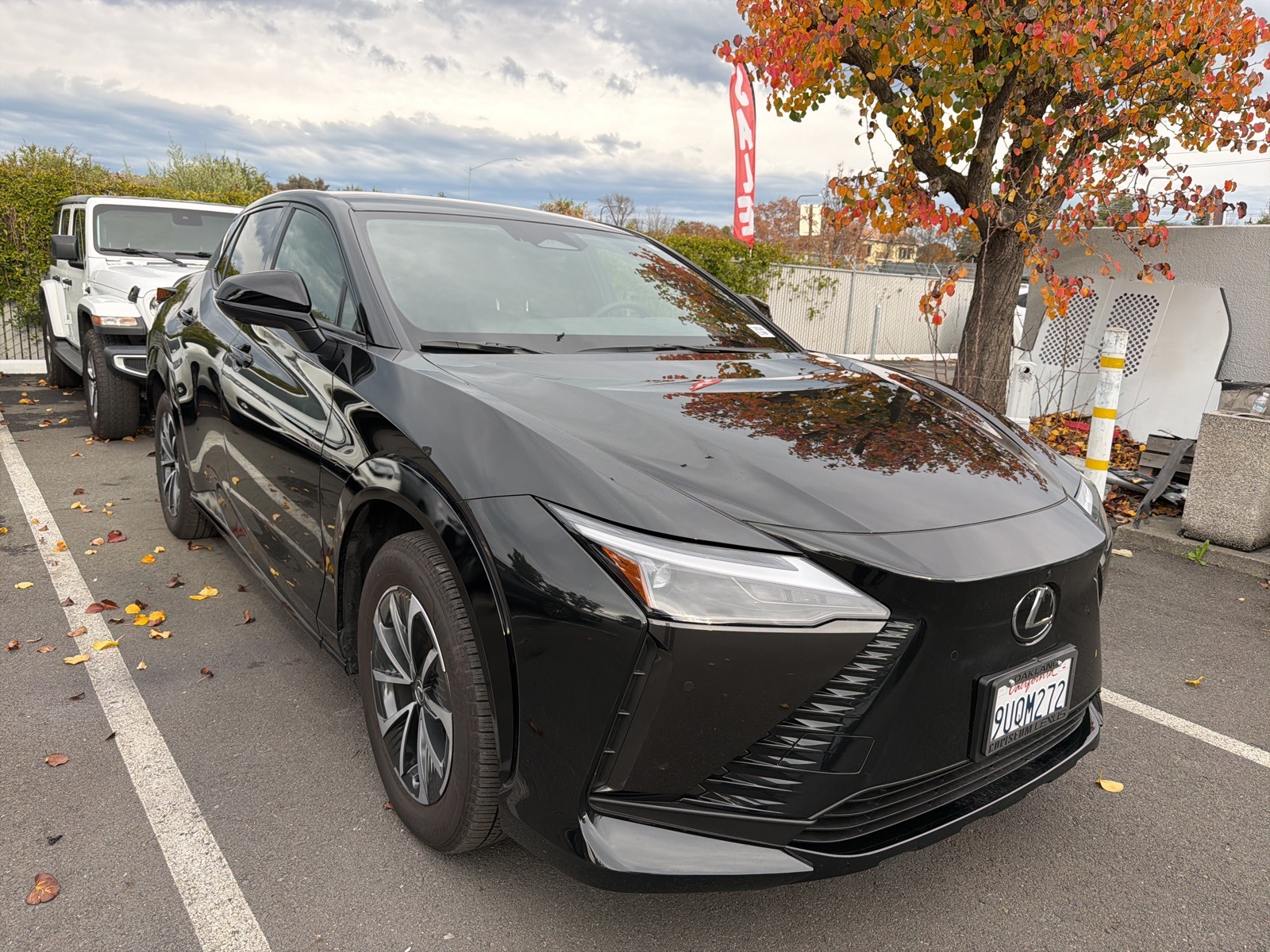 2025 Lexus RZ Premium's photo