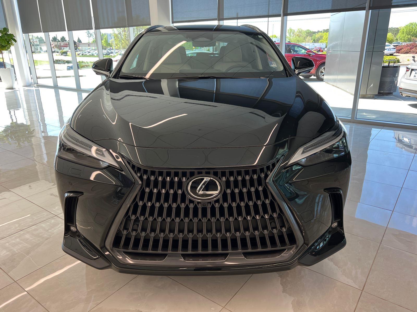2025 Lexus NX Luxury AWD photo 3