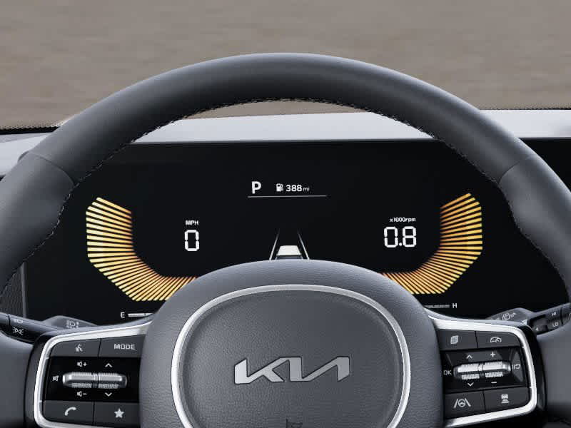2025 Kia Carnival EX photo 21