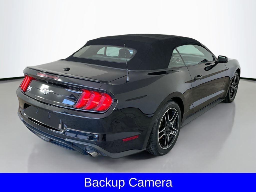 2023 Ford Mustang EcoBoost Premium photo 7