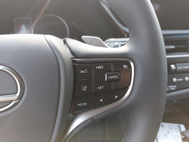 2025 Lexus ES 300h F SPORT Design photo 17