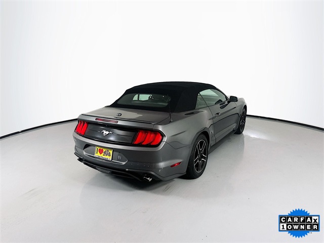 2023 Ford Mustang EcoBoost Premium photo 8
