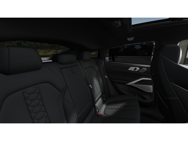 2025 Bmw X6 M50i photo 12