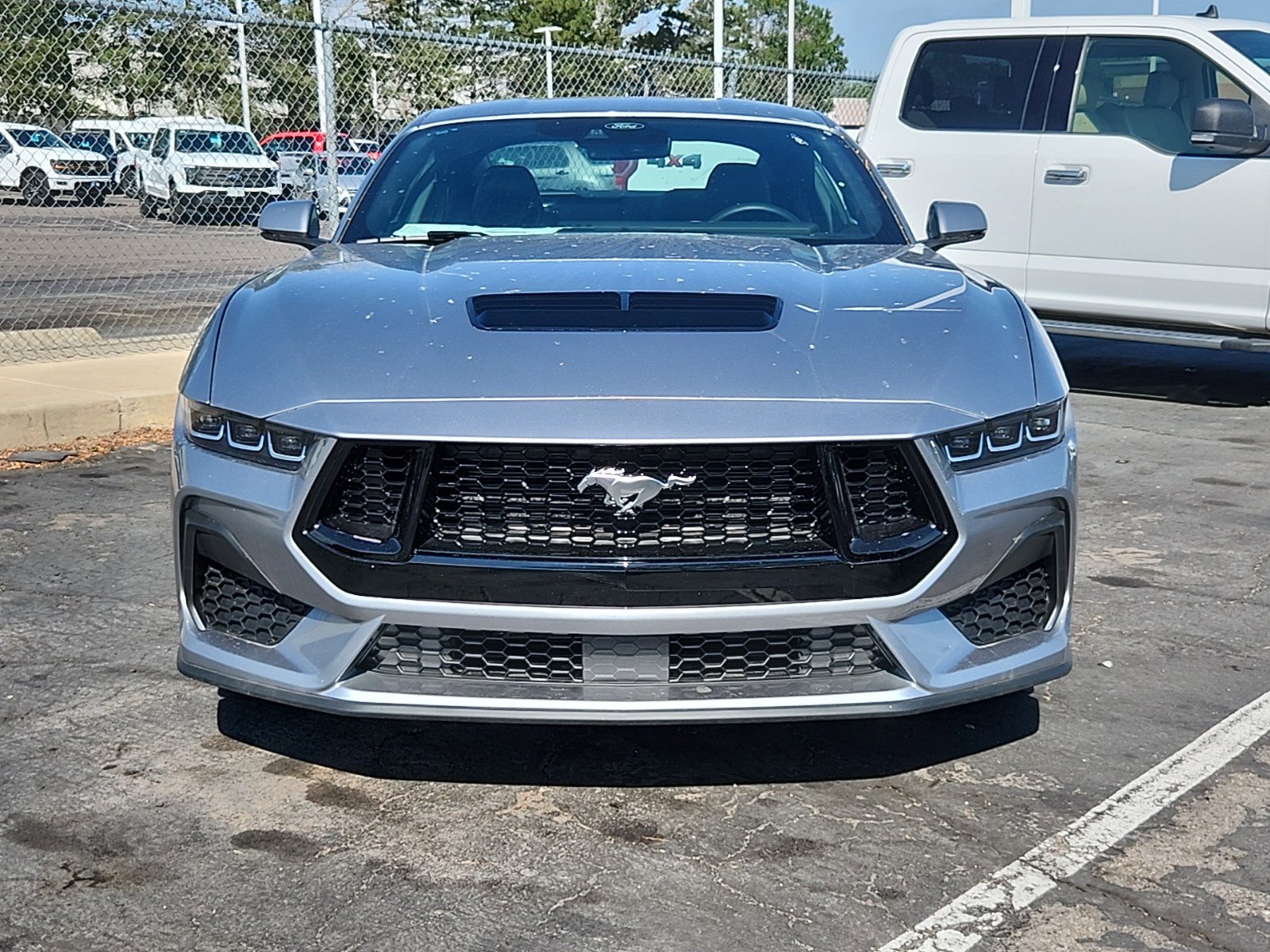 2024 Ford Mustang GT Premium photo 3
