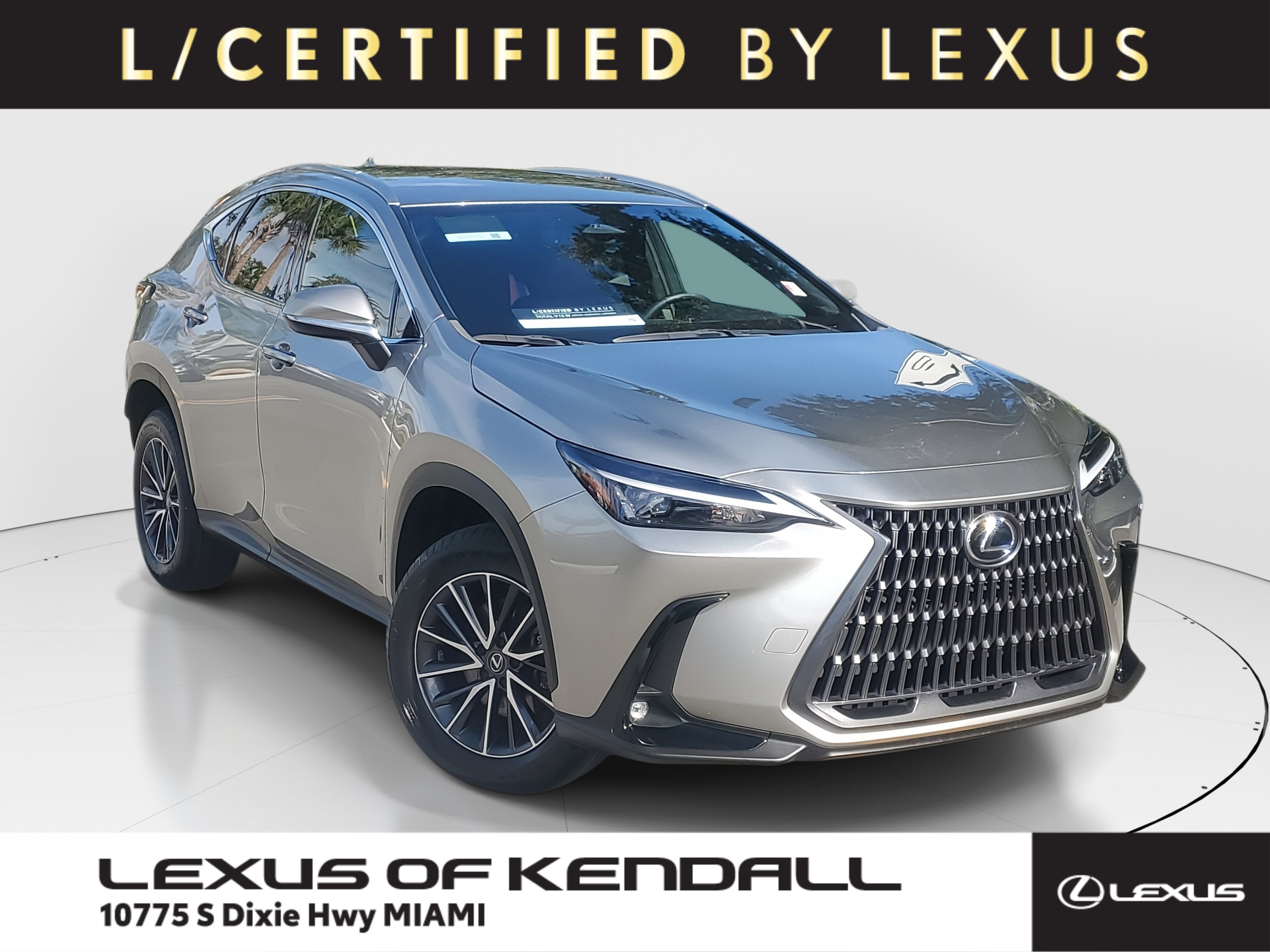 2024 Lexus NX 250's photo