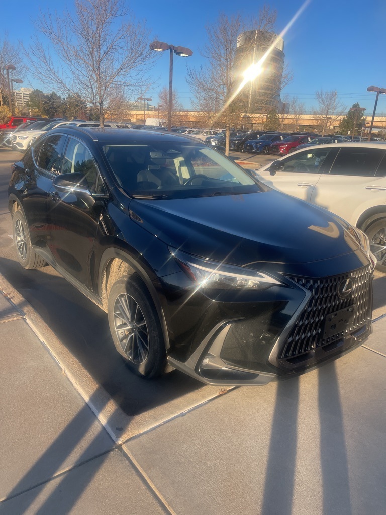 2023 Lexus NX 350h photo 2