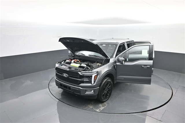 2025 Ford F-150 Platinum photo 34