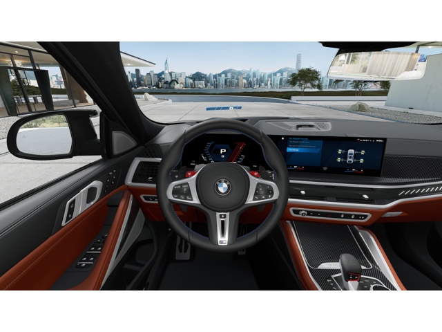2026 Bmw X6 photo 12
