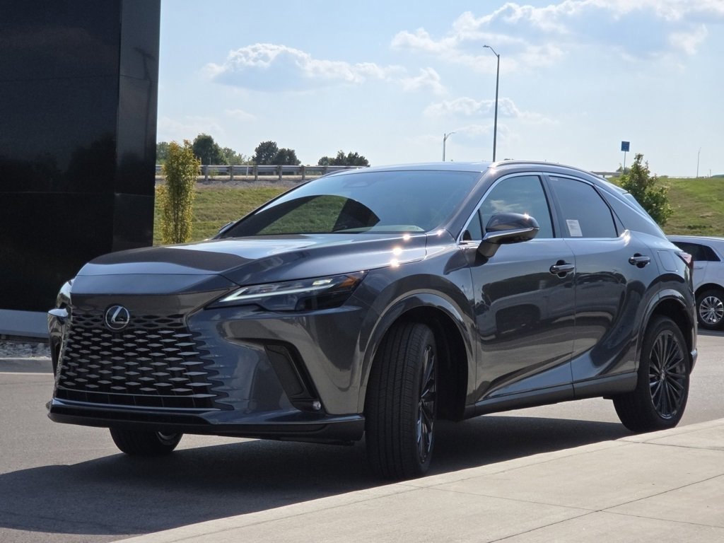 2025 Lexus RX 350 Premium photo 19