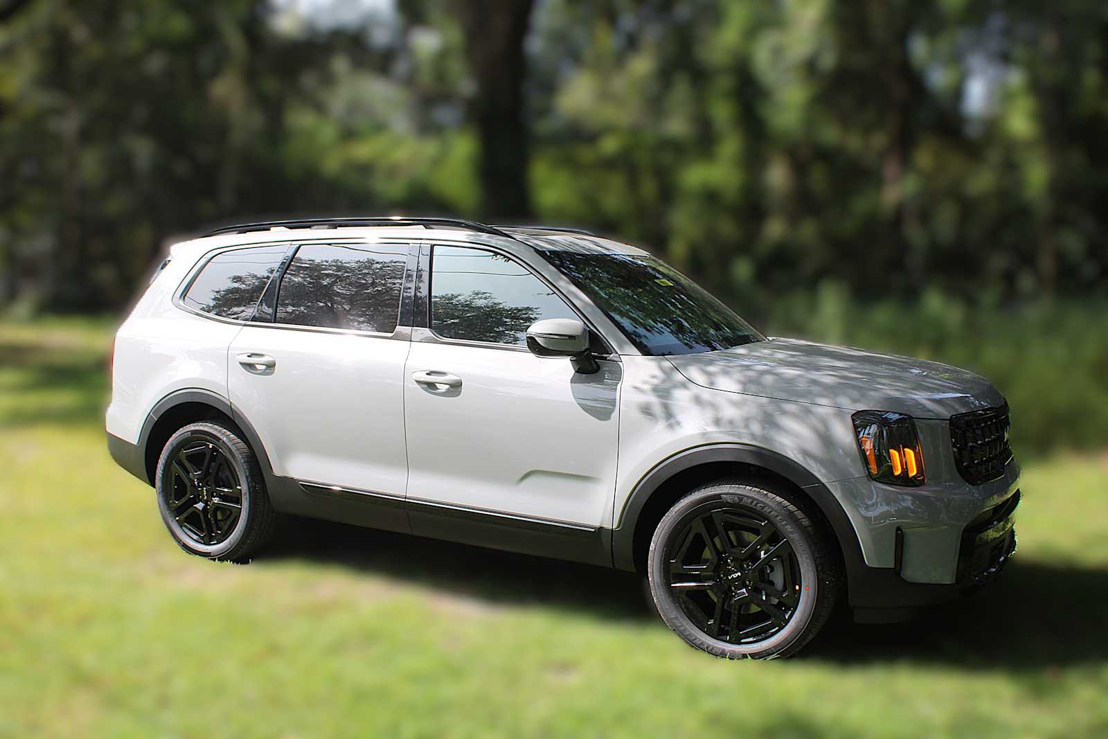 2025 Kia Telluride X-Line photo 3