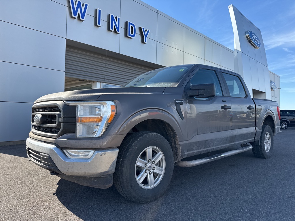 2021 Ford F-150 XL's photo