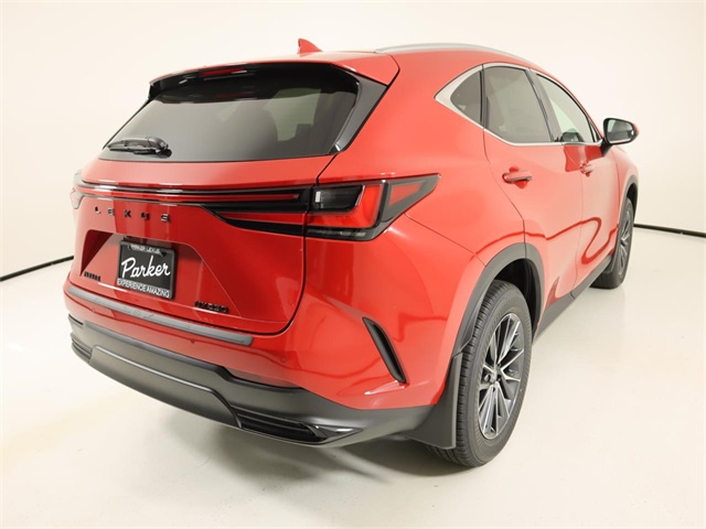 2025 Lexus NX 250 photo 4