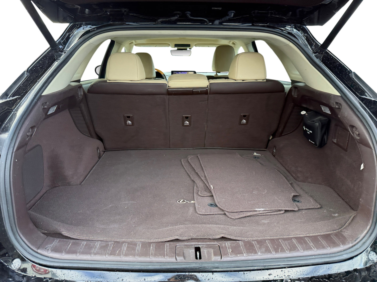 2016 Lexus RX 450h photo 17
