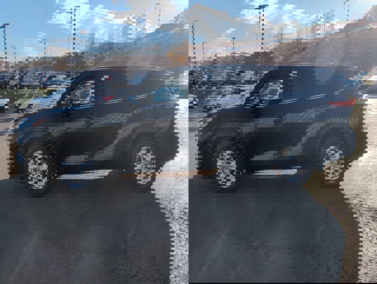 2022 Toyota Highlander L photo 3