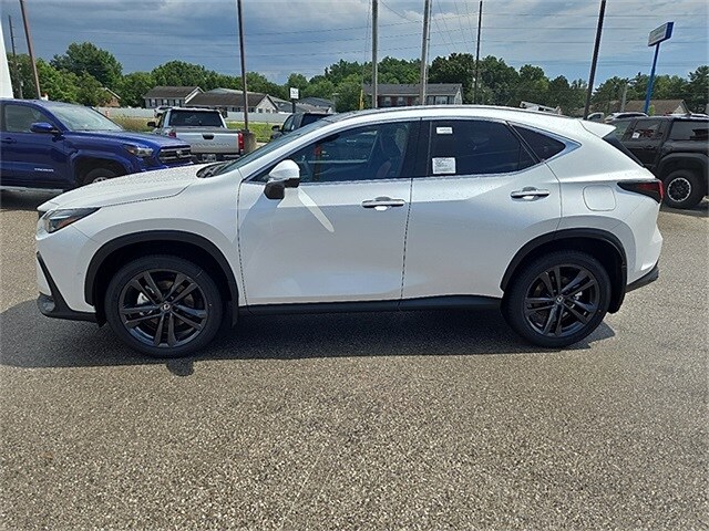 2025 Lexus NX Luxury AWD photo 5