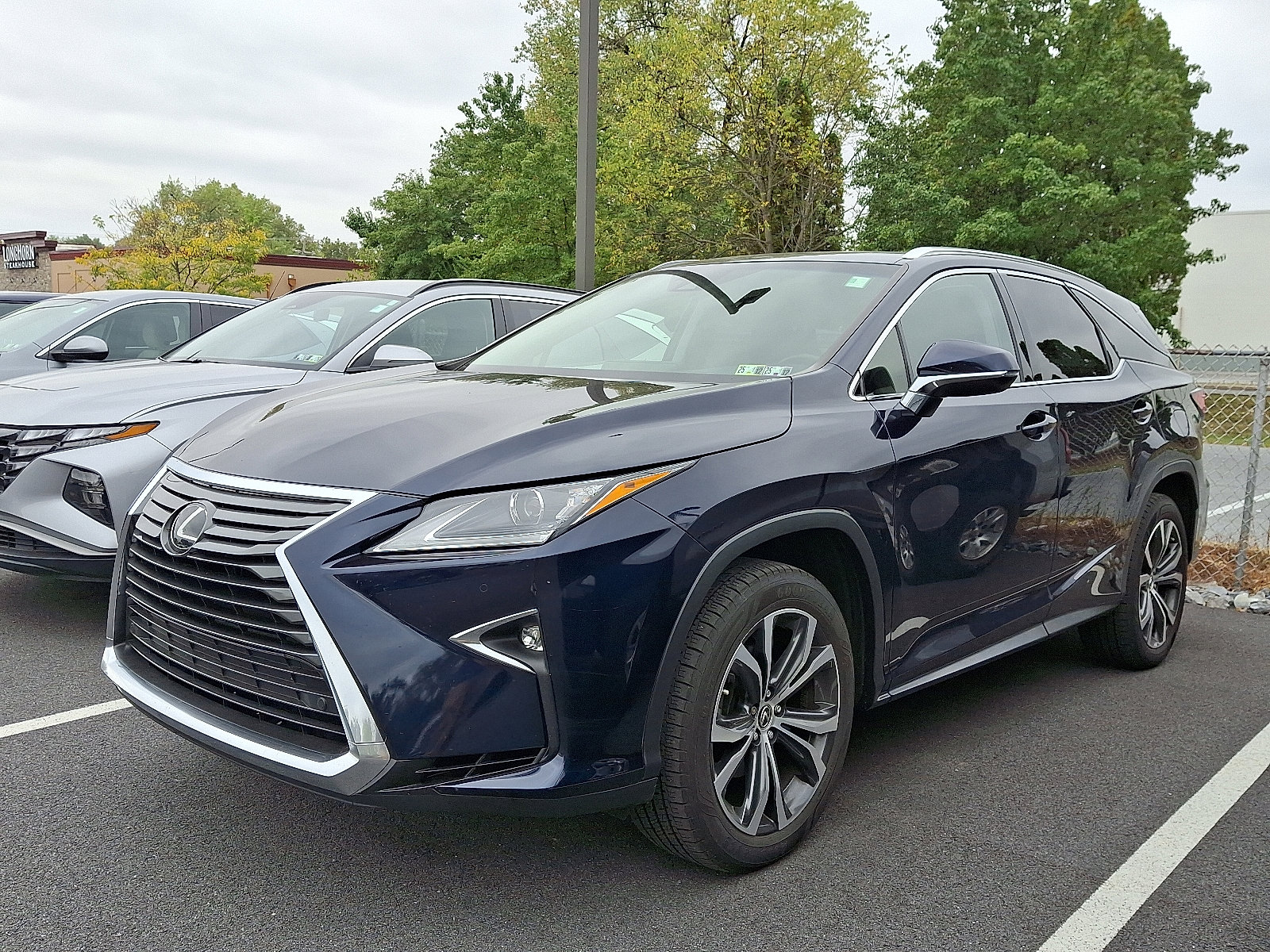 2019 Lexus RX 350L photo 3