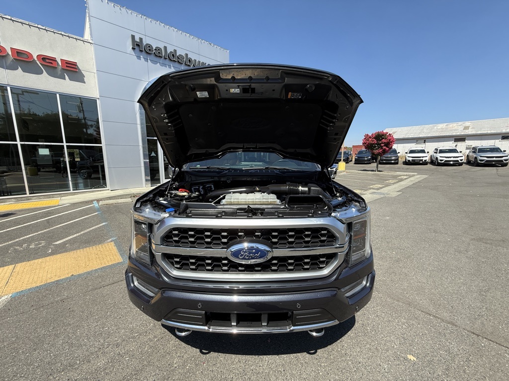 2021 Ford F-150 Platinum photo 26