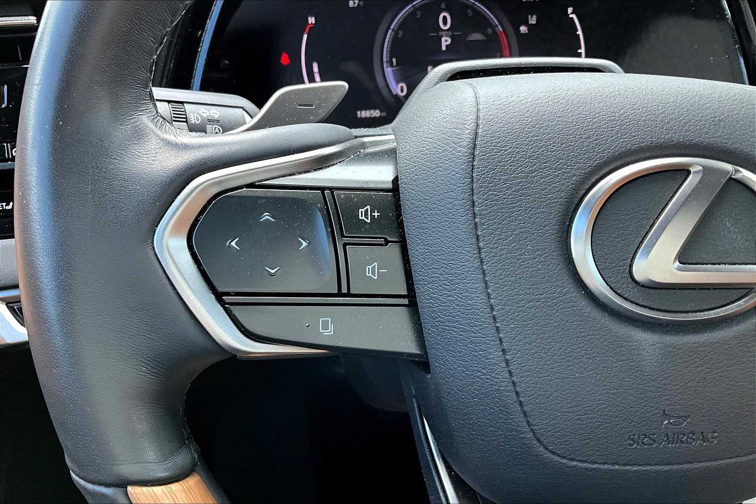 2024 Lexus RX Premium photo 20