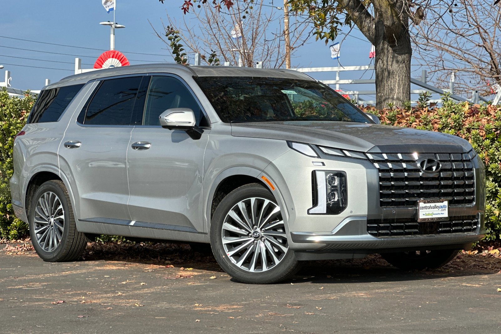 New 2025 Typhoon Silver Hyundai Calligraphy FWD image 28