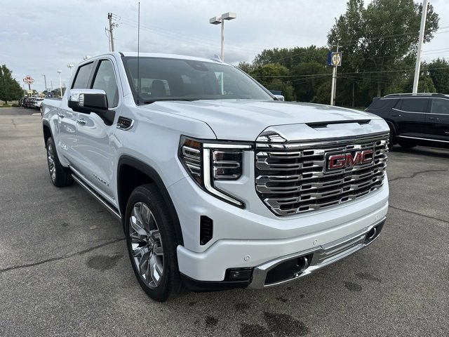 2026 Gmc Sierra 1500 Denali photo 4