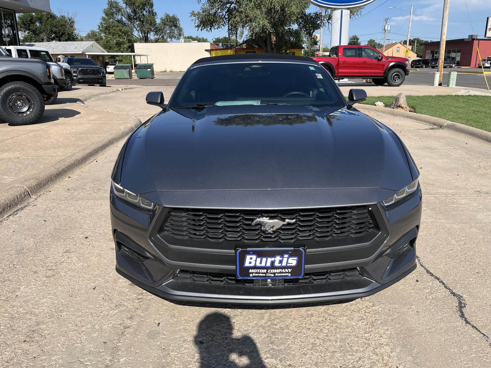 2024 Ford Mustang EcoBoost Premium photo 3