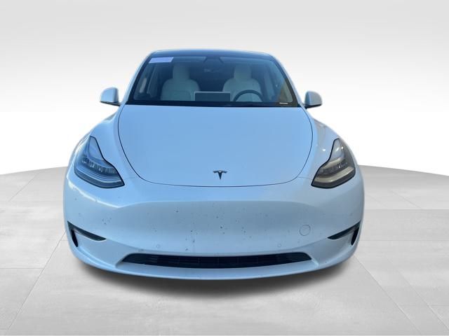 Used 2021 Tesla Model Y Long Range with VIN 5YJYGDEE5MF118482 for sale in Northfield, Minnesota