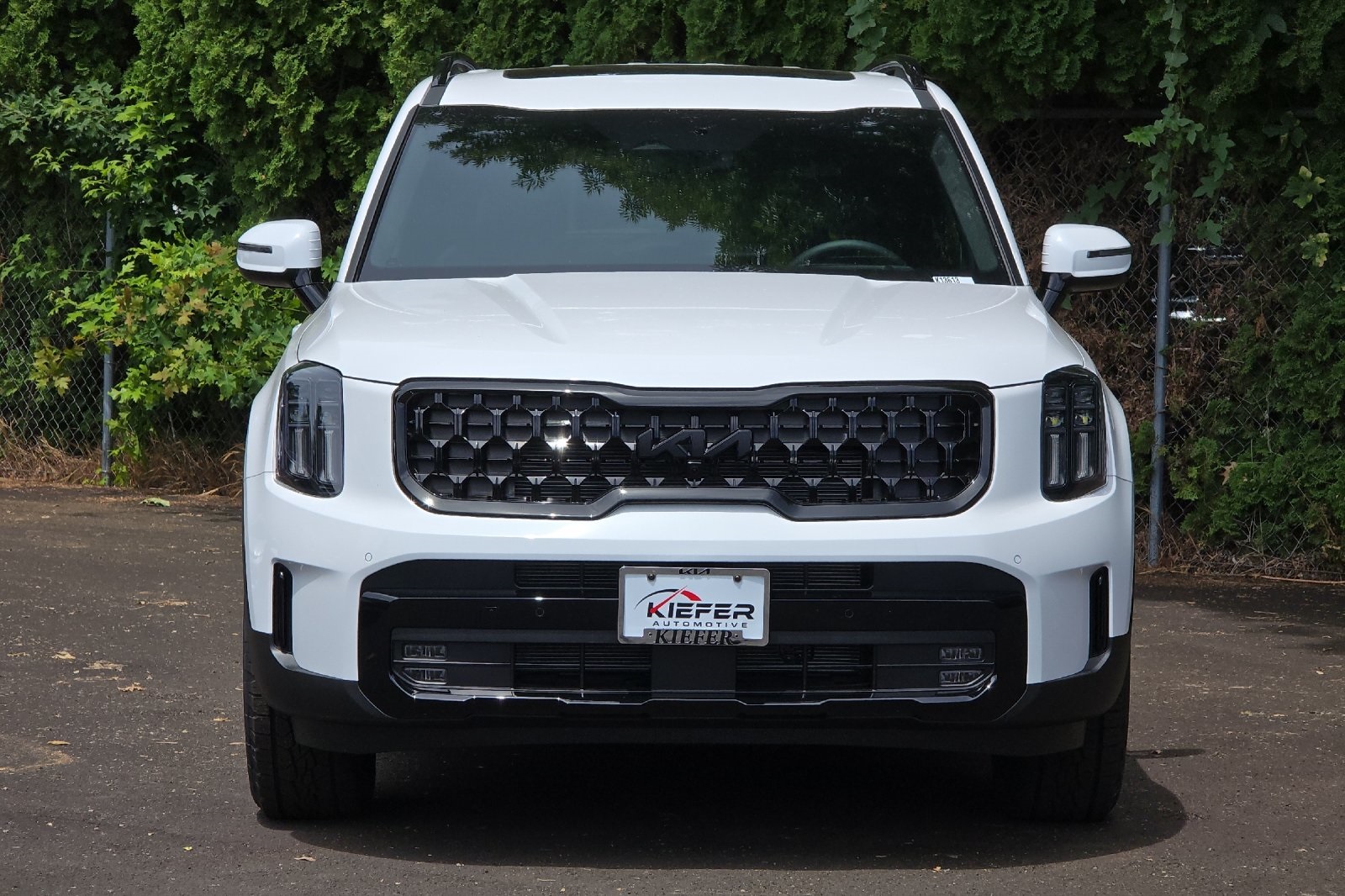 2025 Kia Telluride SX Prestige X-Pro photo 4