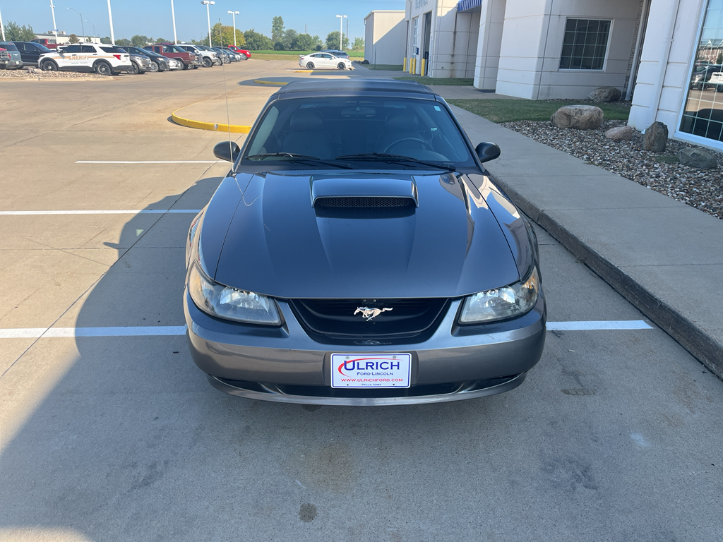 Used 2004 Ford Mustang GT Premium with VIN 1FAFP45X74F209103 for sale in Pella, IA