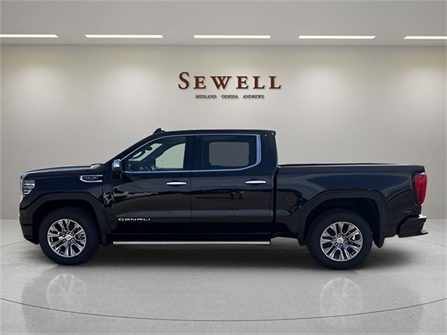 2025 Gmc Sierra 1500 Denali photo 2