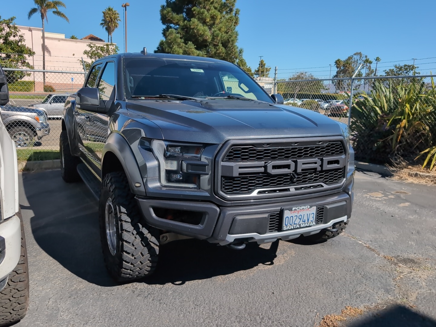2019 Ford F-150 Raptor photo 2