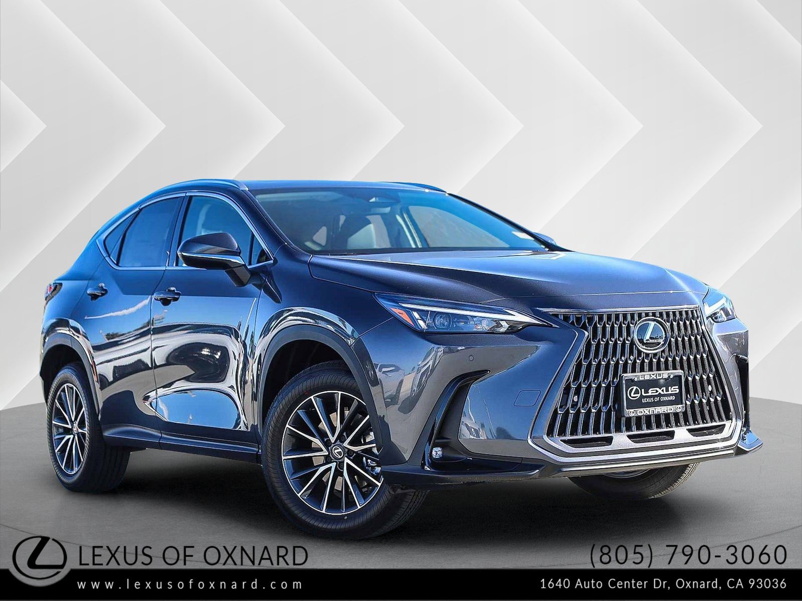 2026 Lexus NX 350's photo