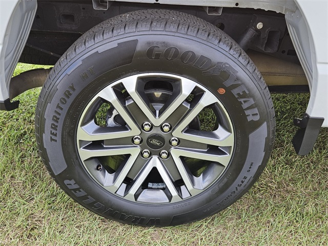 2023 Ford F-150 XL photo 9