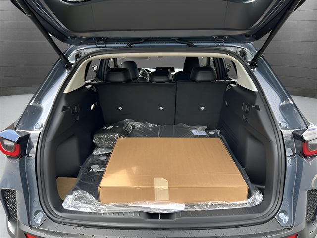 2025 Mazda CX-50 Premium photo 30