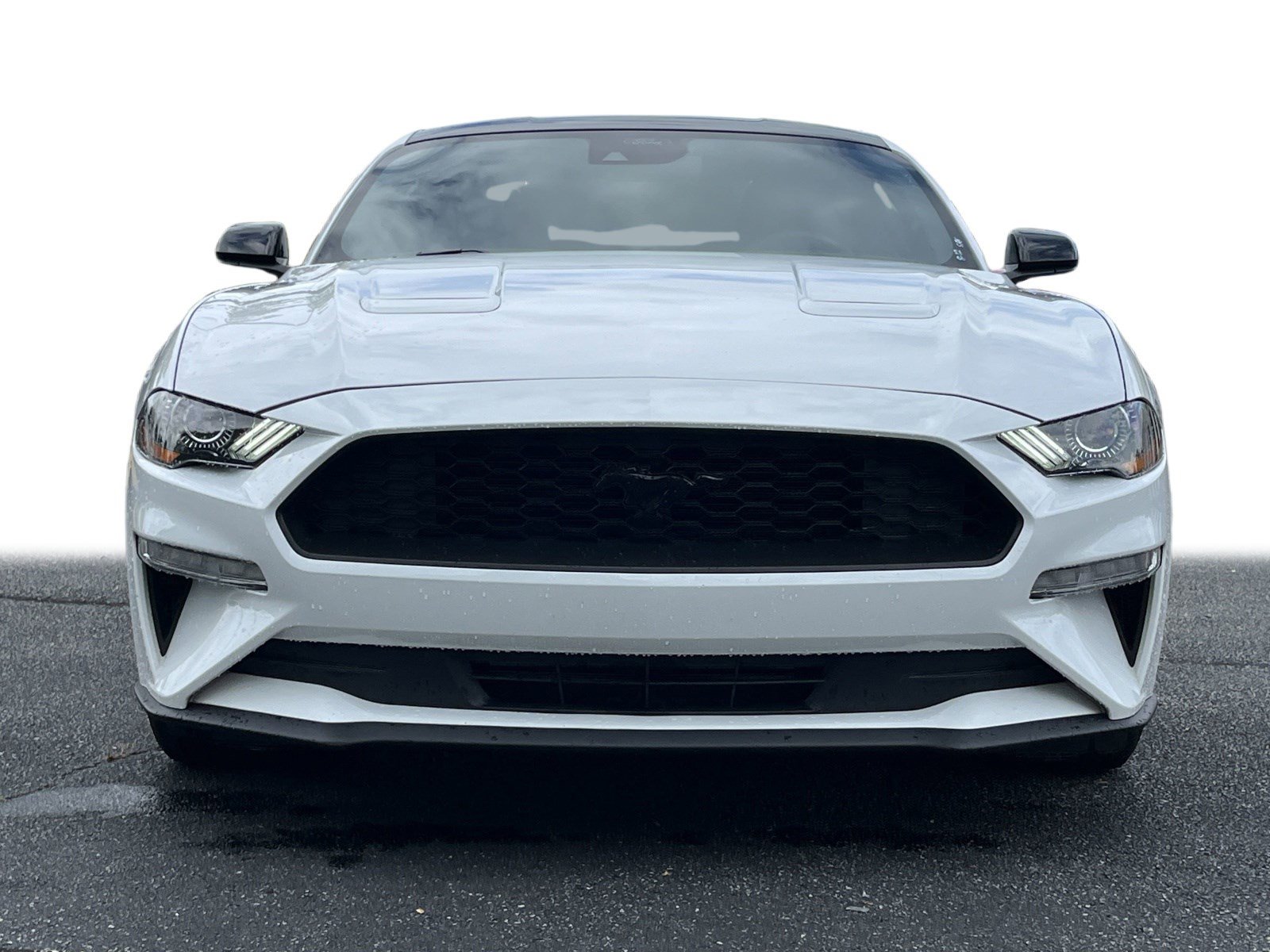 2022 Ford Mustang EcoBoost photo 19