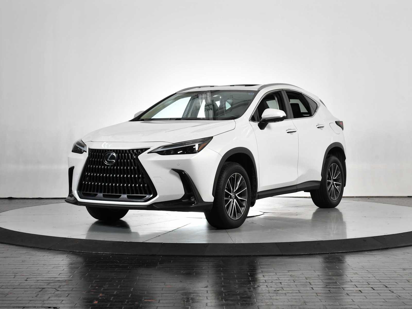 2023 Lexus NX 350's photo
