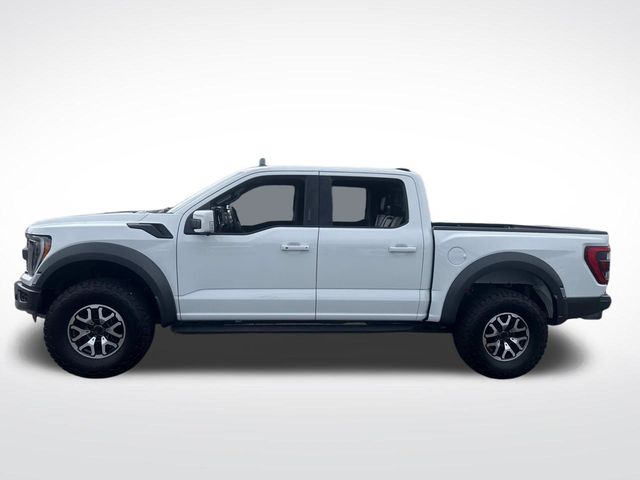 2023 Ford F-150 Raptor photo 2