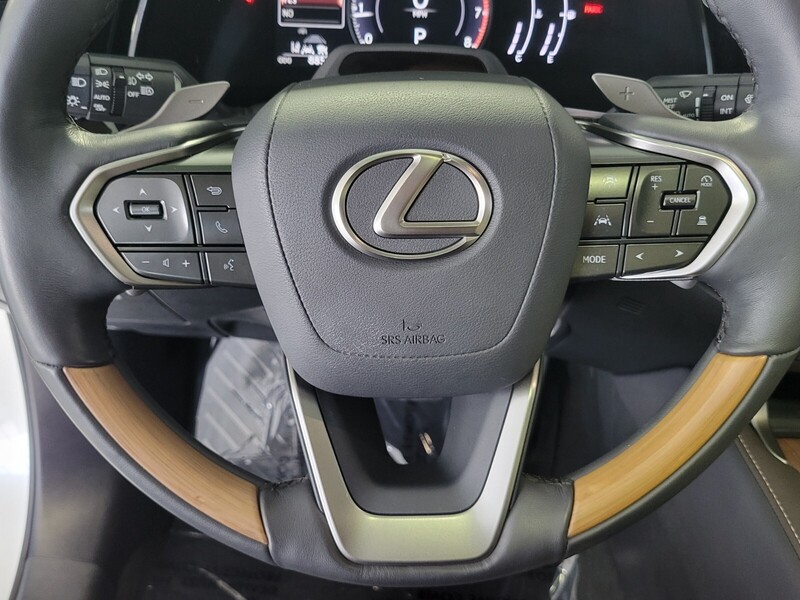 2023 Lexus RX 350 Premium photo 19