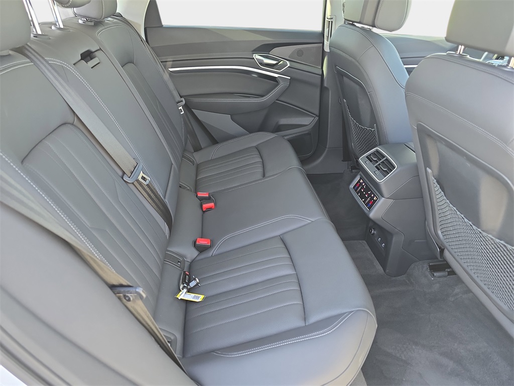 2023 Audi e-tron Premium Plus photo 10