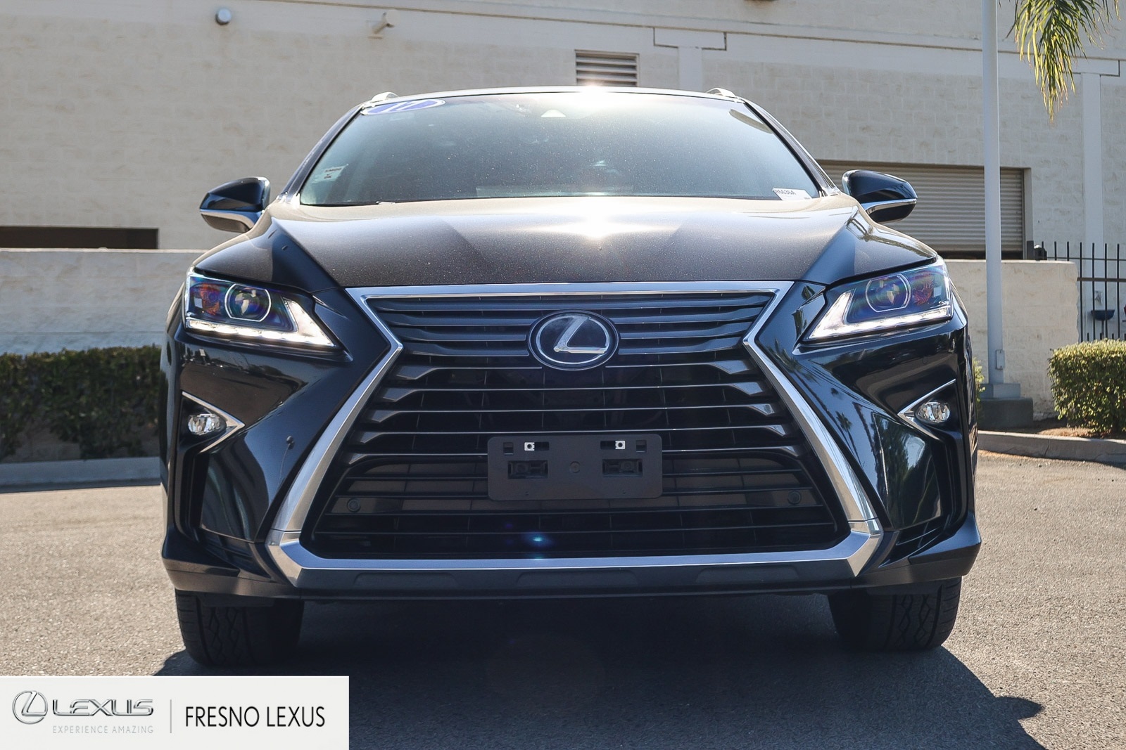2017 Lexus RX 350 photo 2