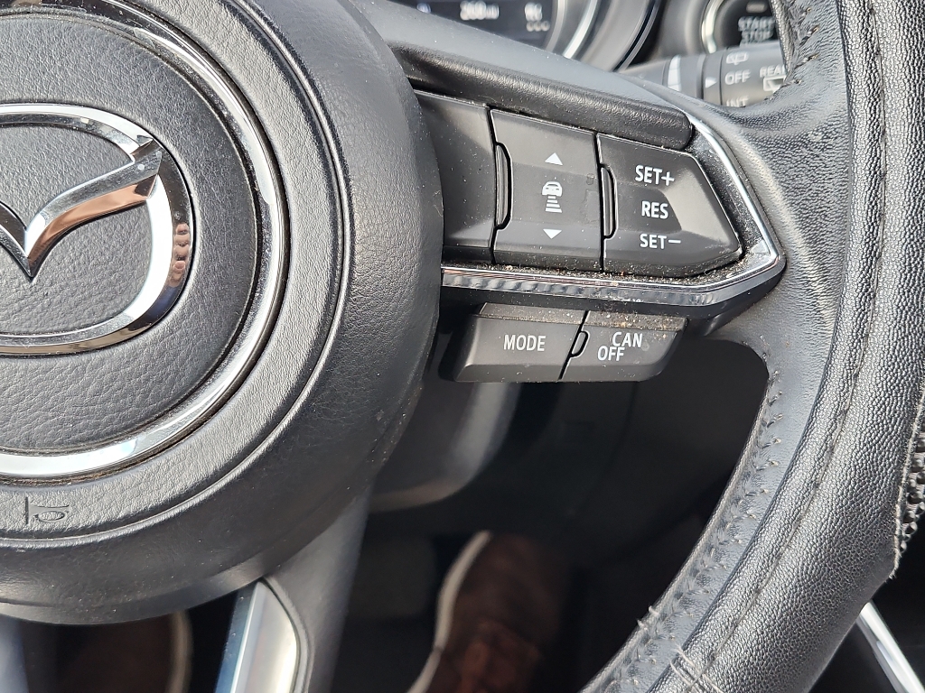 2018 Mazda CX-9 Touring photo 14