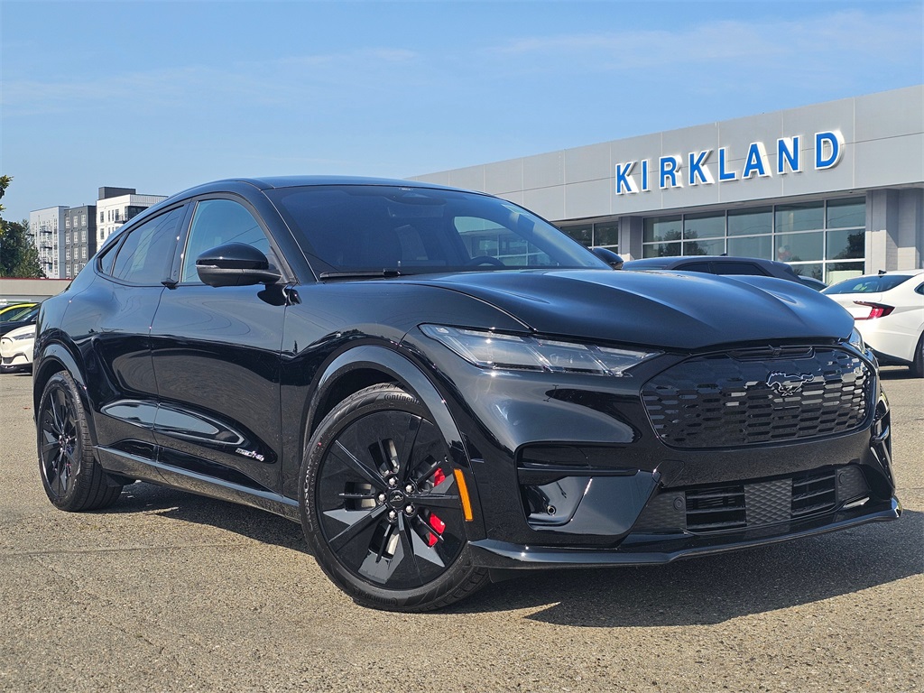 2025 Ford Mustang Mach-E GT AWD's photo