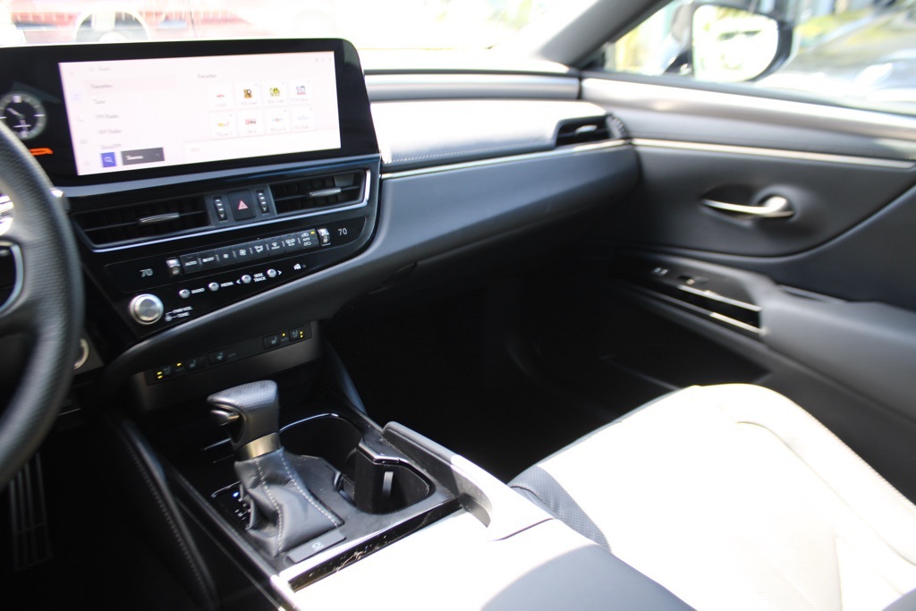 2023 Lexus ES 350 F SPORT photo 19