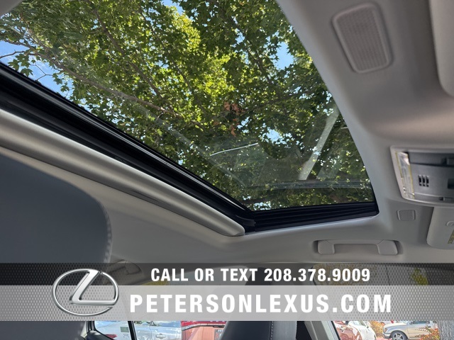 2025 Lexus ES 300h photo 12