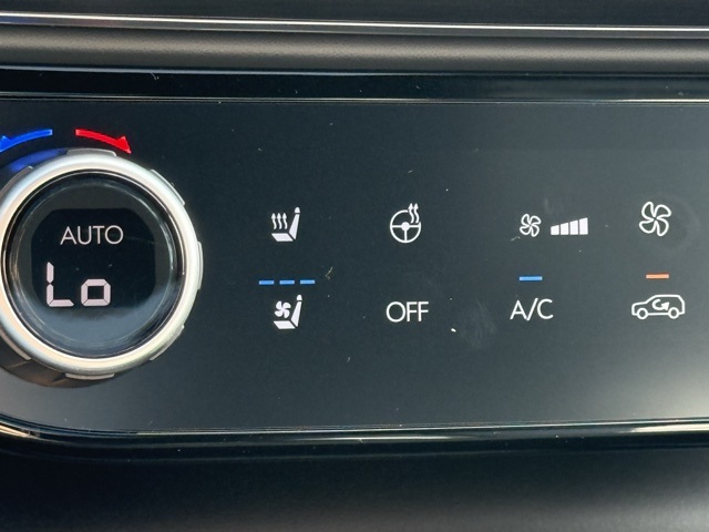 2026 Hyundai Palisade Calligraphy photo 33